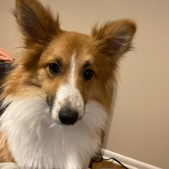 Meet your Posher, Kels - Picture 6 of 6